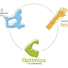 Activa tu cuerpo con 20 ejercicios de calentamiento para optimizar rendimiento y prevenir lesiones.