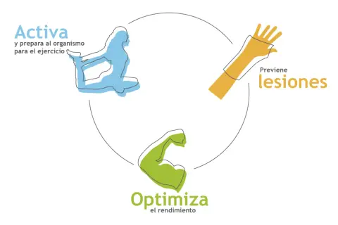 Activa tu cuerpo con 20 ejercicios de calentamiento para optimizar rendimiento y prevenir lesiones.