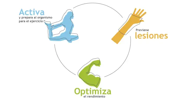 Activa tu cuerpo con 20 ejercicios de calentamiento para optimizar rendimiento y prevenir lesiones.